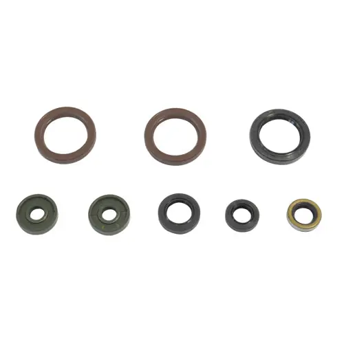 Offerta Limitata Kit paraoli motore Athena Ktm EXC-F 500 12-13
