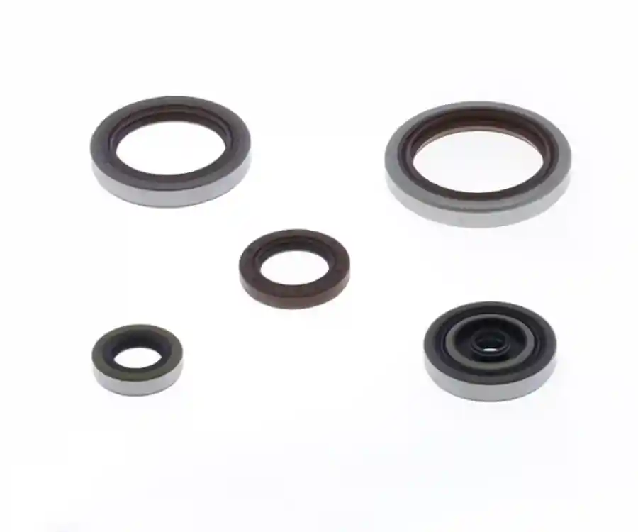 Kit paraoli motore Centauro Beta RR 250 13-22 Super Prezzo