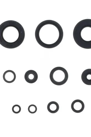 A Buon Prezzo Kit paraoli motore Centauro FANTIC 125 XX 22-23