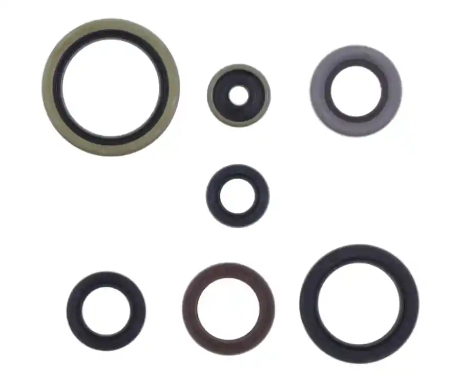 Kit paraoli motore Centauro Gas Gas MC 250 22-23 Non Perdere