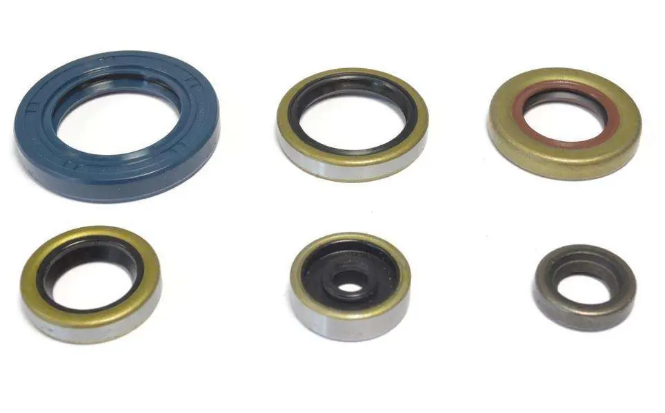 Kit paraoli motore Centauro Gas Gas MC 65 21-23 Affare