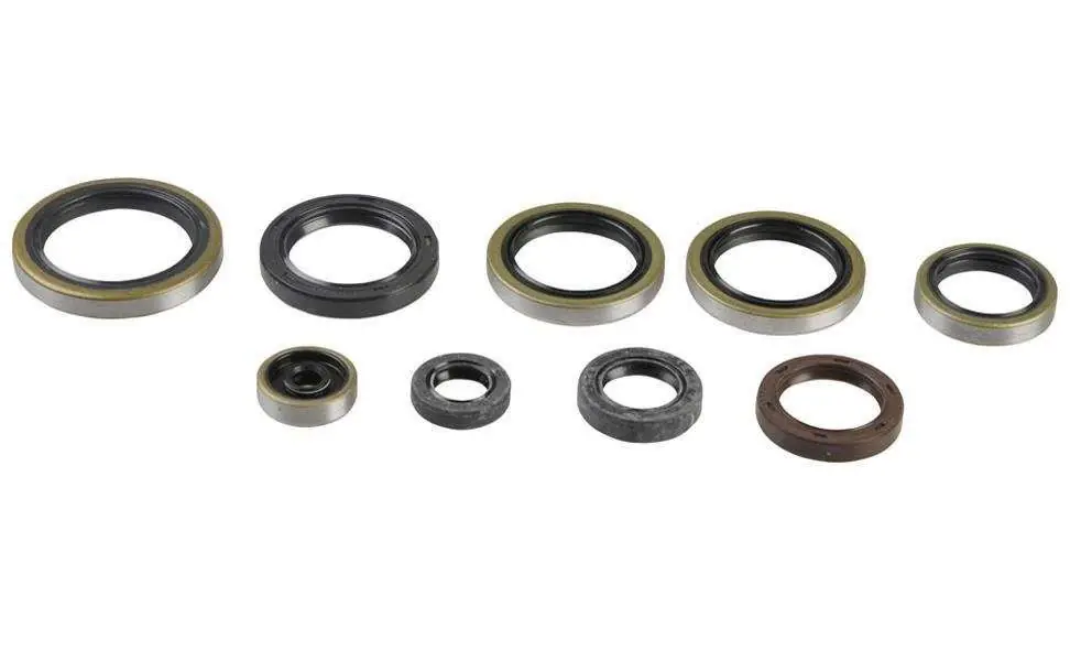 Kit paraoli motore Centauro Husaberg TE 300 11-12 Spedizione Espresso