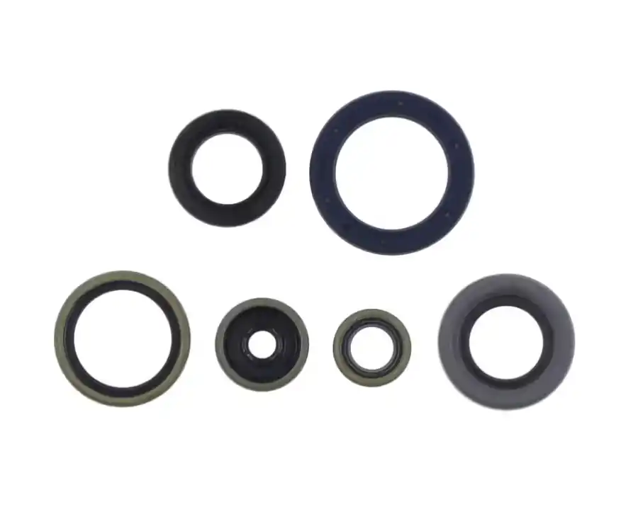 Di Tendenza Kit paraoli motore Centauro Husqvarna TC 85 18-23