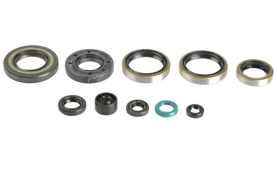 Kit paraoli motore Centauro Kawasaki KX 250 05-08 Esclusivo