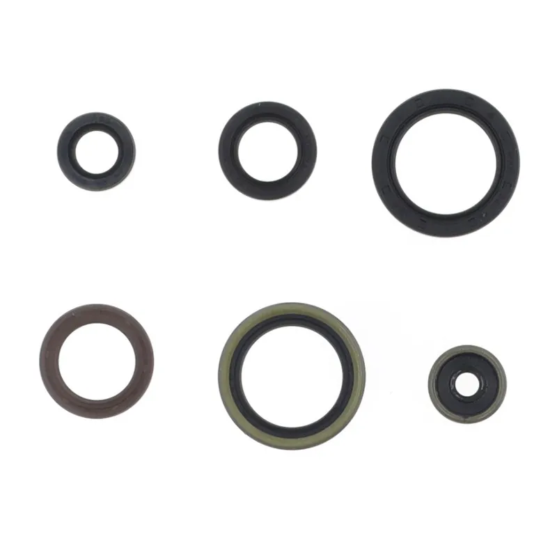 Ultimissimo Modello Kit paraoli motore Centauro Ktm SX 150 16-22
