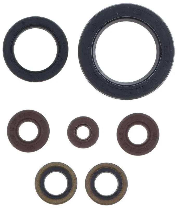 Non Perdere Kit paraoli motore Centauro Sherco 250 SEF-R 14-18