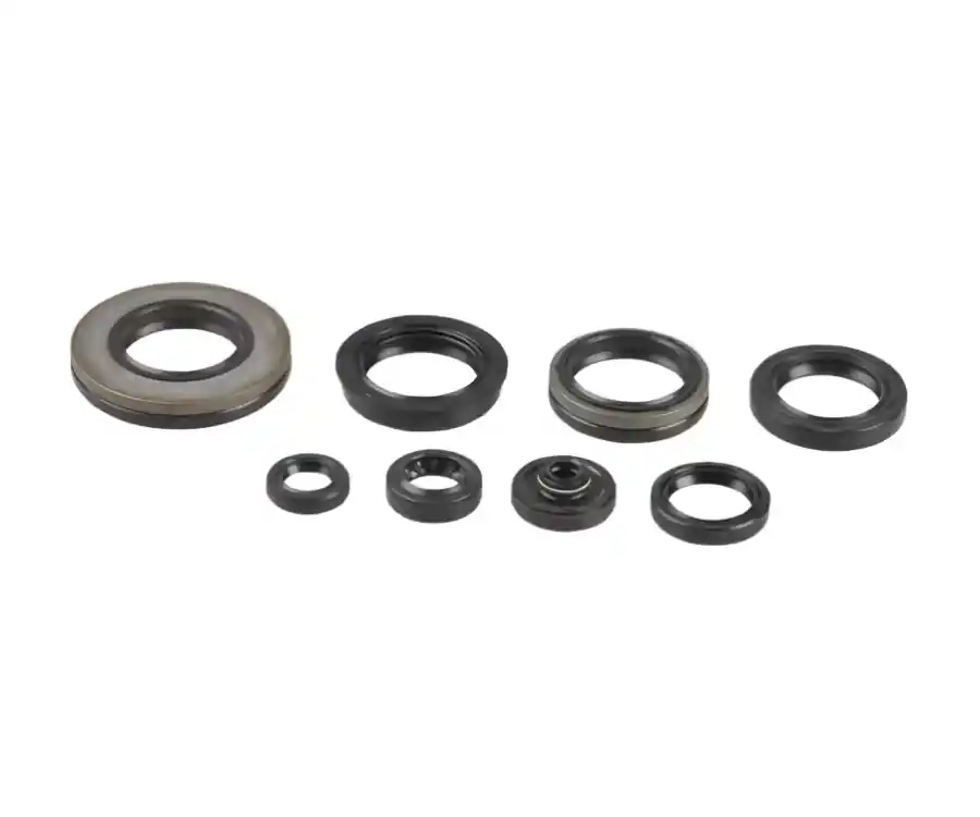 Kit paraoli motore Centauro Suzuki RM 250 03-12 Promo Stagionale