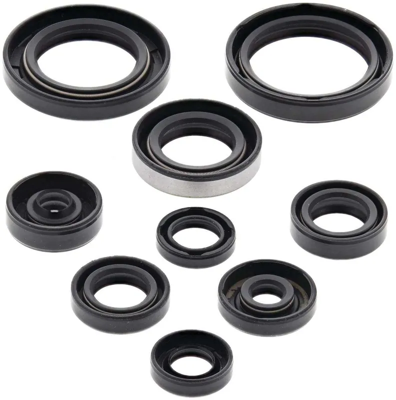 Scelto Dai Clienti Kit paraoli motore Centauro Suzuki RMZ 250 04-06