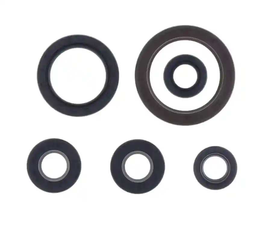 Kit paraoli motore NRTeam Gas Gas MC-F 250 21-25 Nuova Collezione