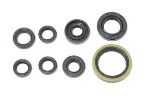 Subito Disponibile Kit paraoli motore NRTeam Gas Gas MC-F 300 13-15
