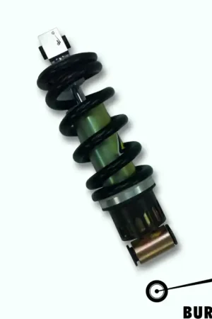 Abbassamento ammortizzatore moto Yamaha XV 1600 Wild Star TÜV Affare