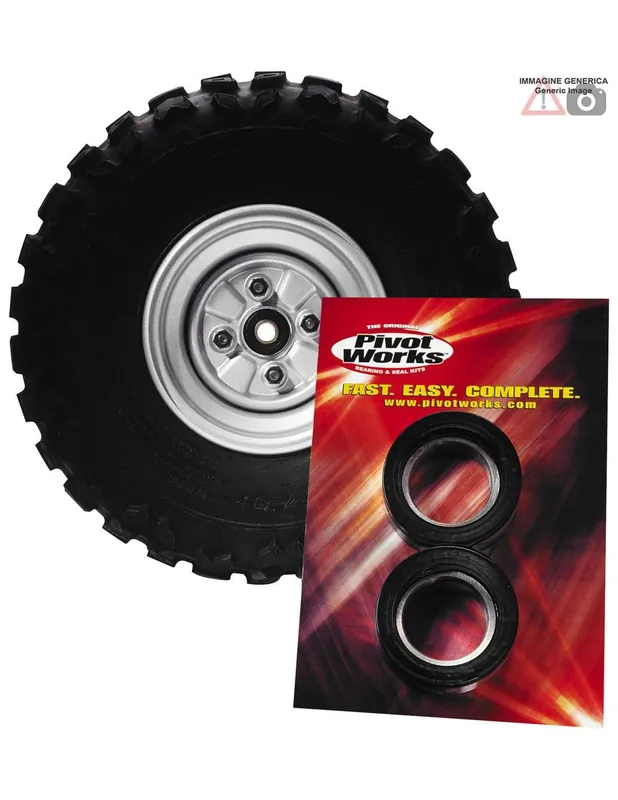 KIT CUSCINETTI MOZZO RUOTA POSTERIORE PIVOT WORKS PWRWK-S49-000 Esclusivo