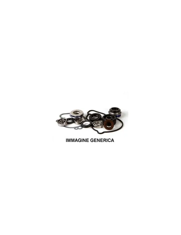 kit revisione pompa acqua HOT RODS WPK0038 Promozione