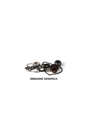 kit revisione pompa acqua HOT RODS WPK0006 Pagamento Sicuro