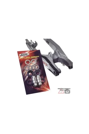 Acquista Ora Kit revisione fulcro forcellone PIVOT WORKS PWSAK-S08-020