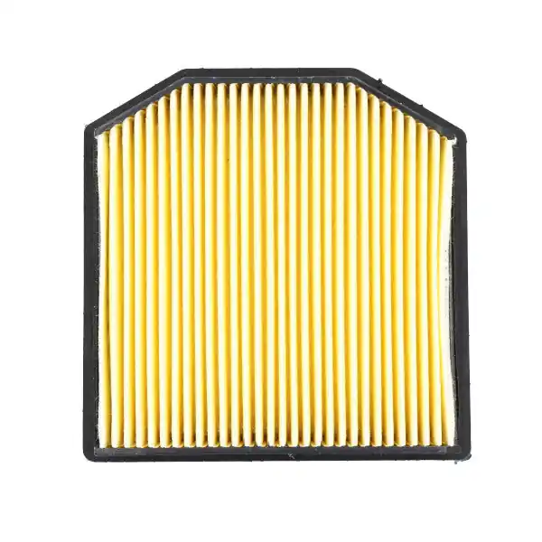 Meiwa Filtro Aria Triumph 850 Tiger 21/22 Scelto Dai Clienti