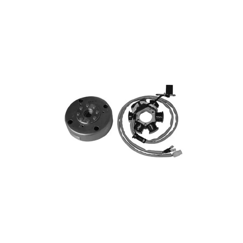 Miglior Prezzo Volano 6 poli GILERA Easy Moving 50 CC 95/96